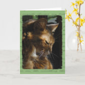 ソマリ族猫の悔やみや弔慰カード カード (黄色い花)