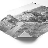 ソム・ジンチーの戦いの仲間 ポスター (角)