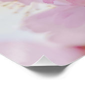 ソメイヨシノ - 日本の桜 ポスター (コーナー)