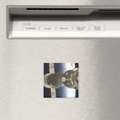 ソユーズ宇宙船が地球によってバックドロップ マグネット (インサイチュ (食洗機))