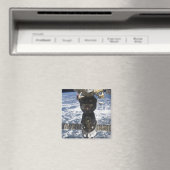 ソユーズTMA-19宇宙船 マグネット (インサイチュ (食洗機))