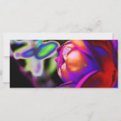 ソラリゼーションバラバイシャーリー・テイラー (裏面)