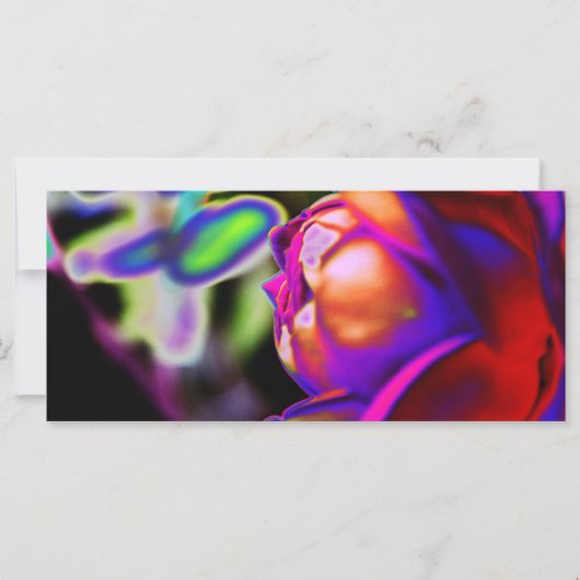 ソラリゼーションバラバイシャーリー・テイラー (正面)