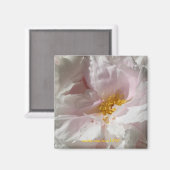 ソラージュ マグネット (正面/裏面)