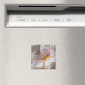 ソラージュ マグネット (インサイチュ (食洗機))