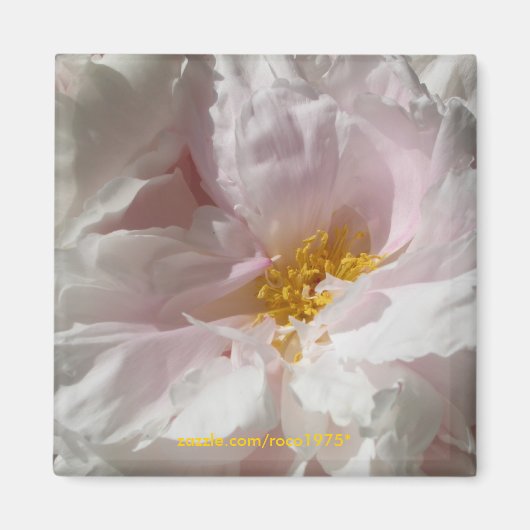 ソラージュ マグネット (正面)