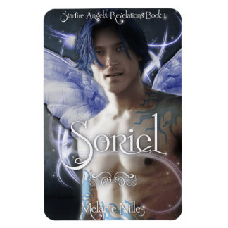 ソリエル磁石 マグネット