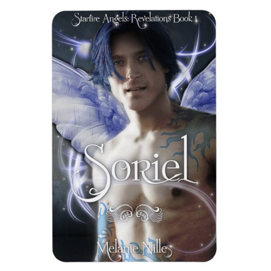 ソリエル磁石 マグネット (縦)