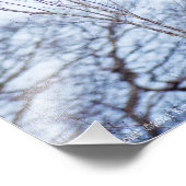 ソリスト フォトプリント            (角)