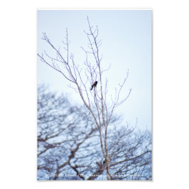 ソリスト フォトプリント           