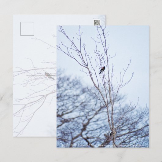 ソリスト ポストカード (正面/裏面)