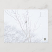 ソリスト ポストカード (裏面)