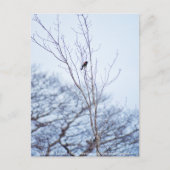 ソリスト ポストカード (正面)