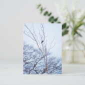 ソリスト ポストカード (スタンド正面)