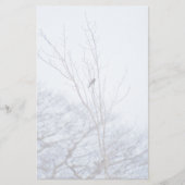 ソリスト 便箋 (正面)