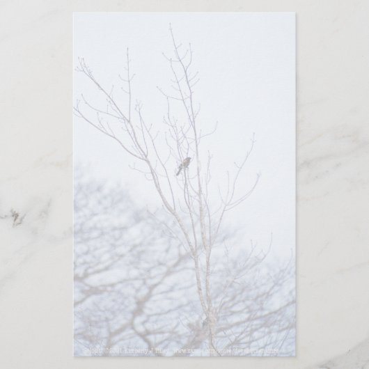 ソリスト 便箋 (正面)