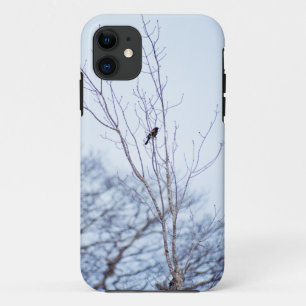 ソリスト iPhone 11 ケース