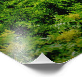 「ソリンルーツ」 フォトプリント            (角)