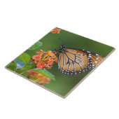 ソルジャー(Danaus eresimus)バタフライ食べ物を与えズ タイル (側面)