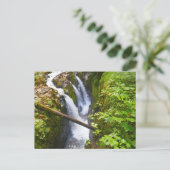 ソルダック秋Iオリンピックナショナルパーク ポストカード (スタンド正面)