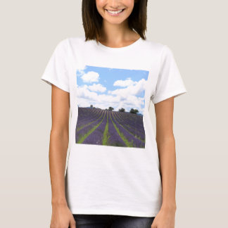 ソルトの近くの紫色のラベンダー畑 Tシャツ