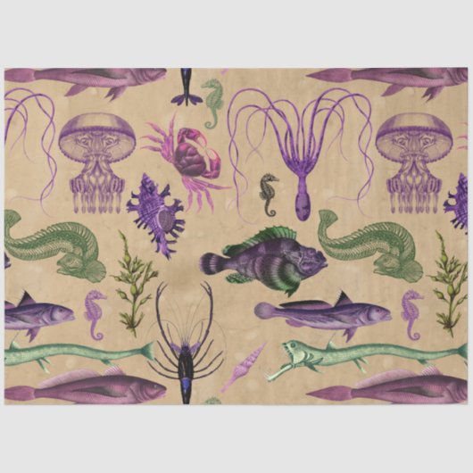 ソルトウィッチグリモアシリーズデザイン14 薄葉紙 (正面)