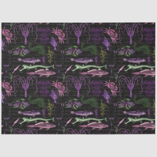 ソルトウィッチグリモアシリーズデザイン19 薄葉紙 (正面)