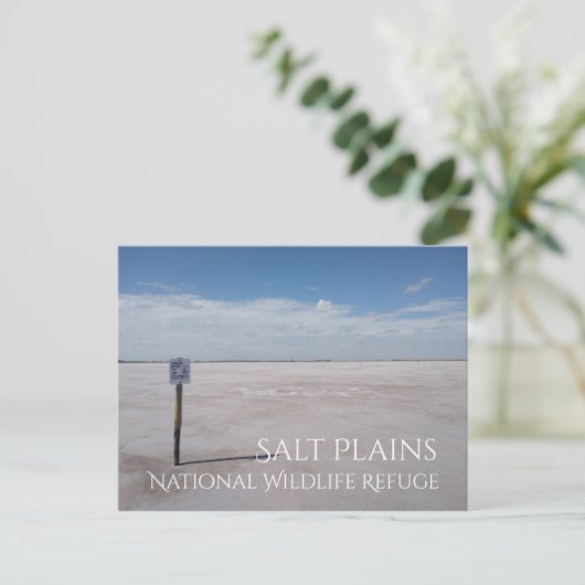 ソルトフラッツ、ソルトプレインズ国立野生生物保護区 ポストカード (スタンド正面)