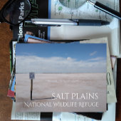 ソルトフラッツ、ソルトプレインズ国立野生生物保護区 ポストカード