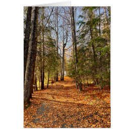 ソルドトナクリークパーク秋 – 5" x 7"アートカード