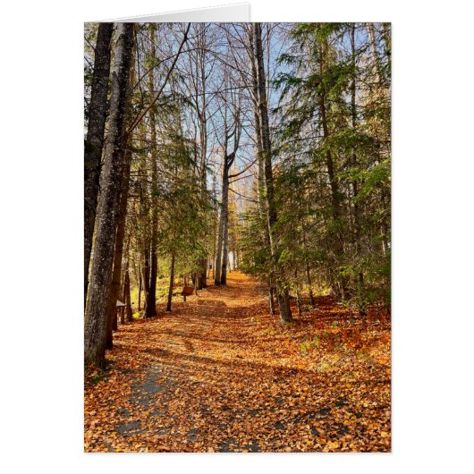 ソルドトナクリークパーク秋 – 5" x 7"アートカード (正面)