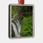 ソル·ドゥック·滝がオリンピック国立公園2 メタルオーナメント (右)