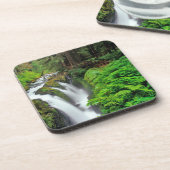 ソル·ドゥック·滝スがオリンピック国立公園に コースター (左側)