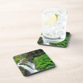 ソル·ドゥック·滝スがオリンピック国立公園に コースター (右側)