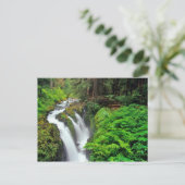 ソル·ドゥック·滝スがオリンピック国立公園に ポストカード (スタンド正面)