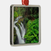 ソル·ドゥック·滝スがオリンピック国立公園に メタルオーナメント (右)