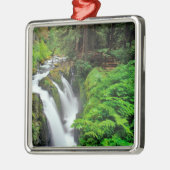 ソル·ドゥック·滝スがオリンピック国立公園に メタルオーナメント (左)