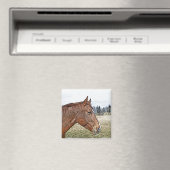 ソレルホースポートレートアウマ科のートイラストレーション マグネット (インサイチュ (食洗機))