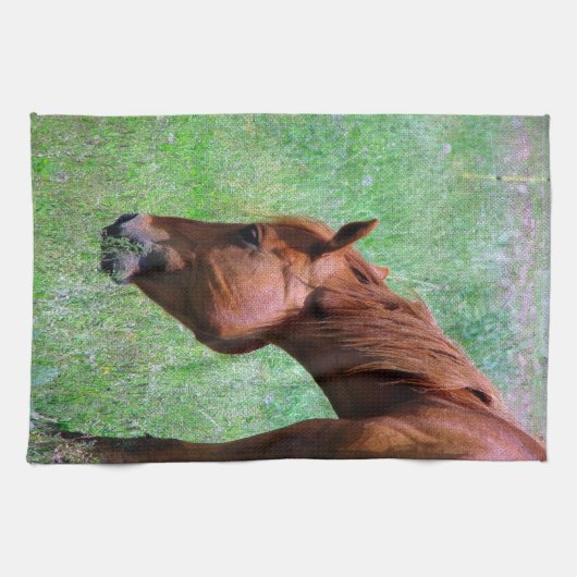 ソレルホース キッチンタオル (横)