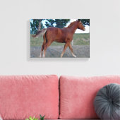 ソレル憧れ キャンバスプリント (インサイチュ (リビング))