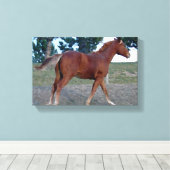 ソレル憧れ キャンバスプリント (インサイチュ (ウッドフロア))