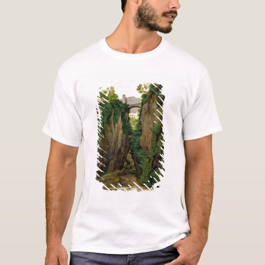 ソレント1823年の岩が多い峡谷 Tシャツ (正面)