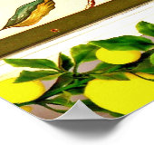 ソレント,イタリア,サイン ポスター (角)