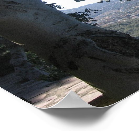 ソレント ポスター (角)