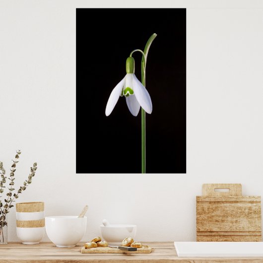 ソロの完成 ポスター (キッチン)