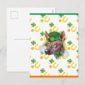 ソロイツキュイントルシャムロックサンパトリックスの日 シーズンポストカード (正面/裏面)