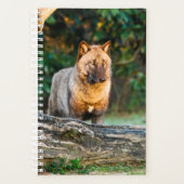 ソロウルフプランナー プランナー手帳 (正面)