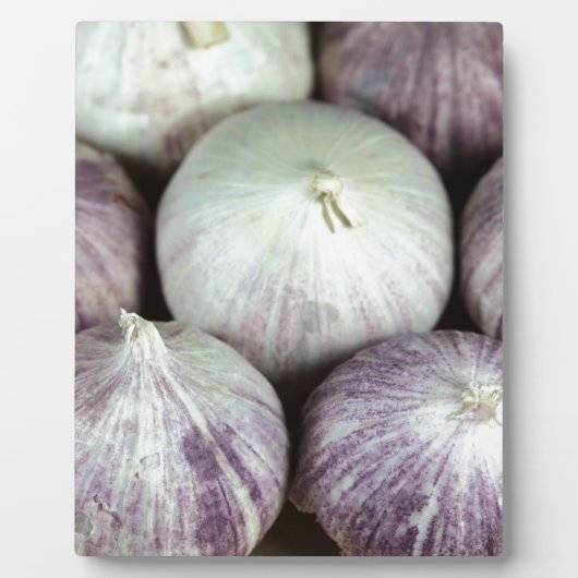 ソロガーリック フォトプラーク (正面)