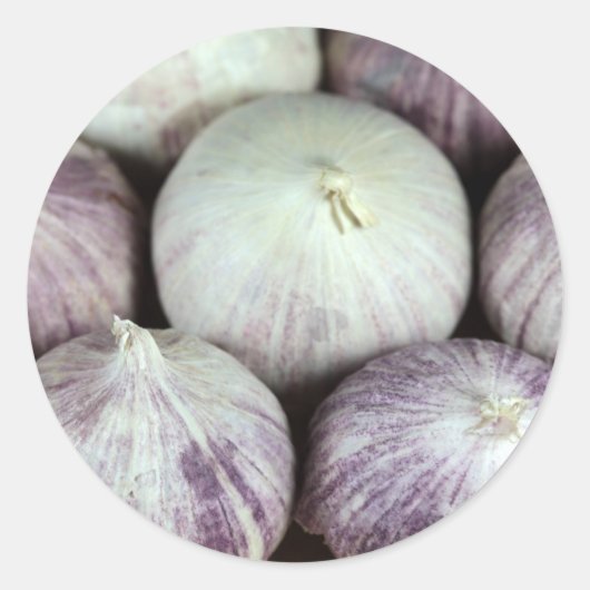 ソロガーリック ラウンドシール (正面)