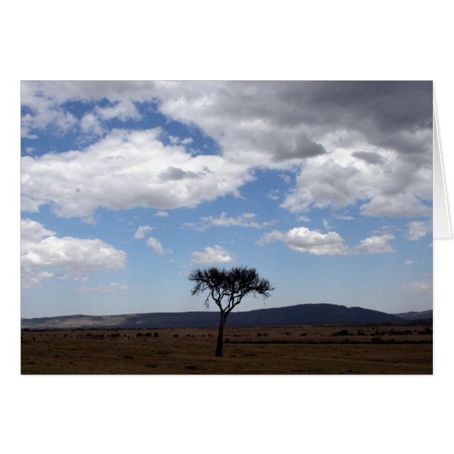 ソロツリー (正面横)